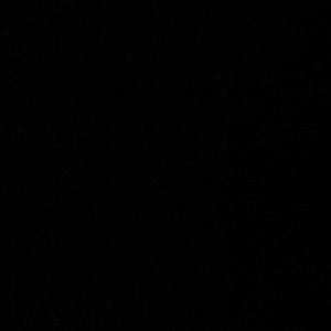 Meet your Posher, Nina